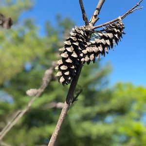 Meet your Posher, Marcus